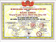 Bang khen top 15 DN xuat sac 2008
